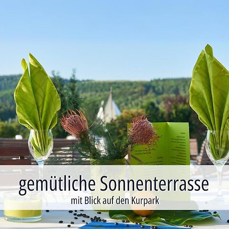 Hotel Am Kurhaus Mit Erstem Ayurveda Center Sachsens - Direkt Am Gesundheitsbad Actinon & Kurpark Bad Schlema Exteriér fotografie
