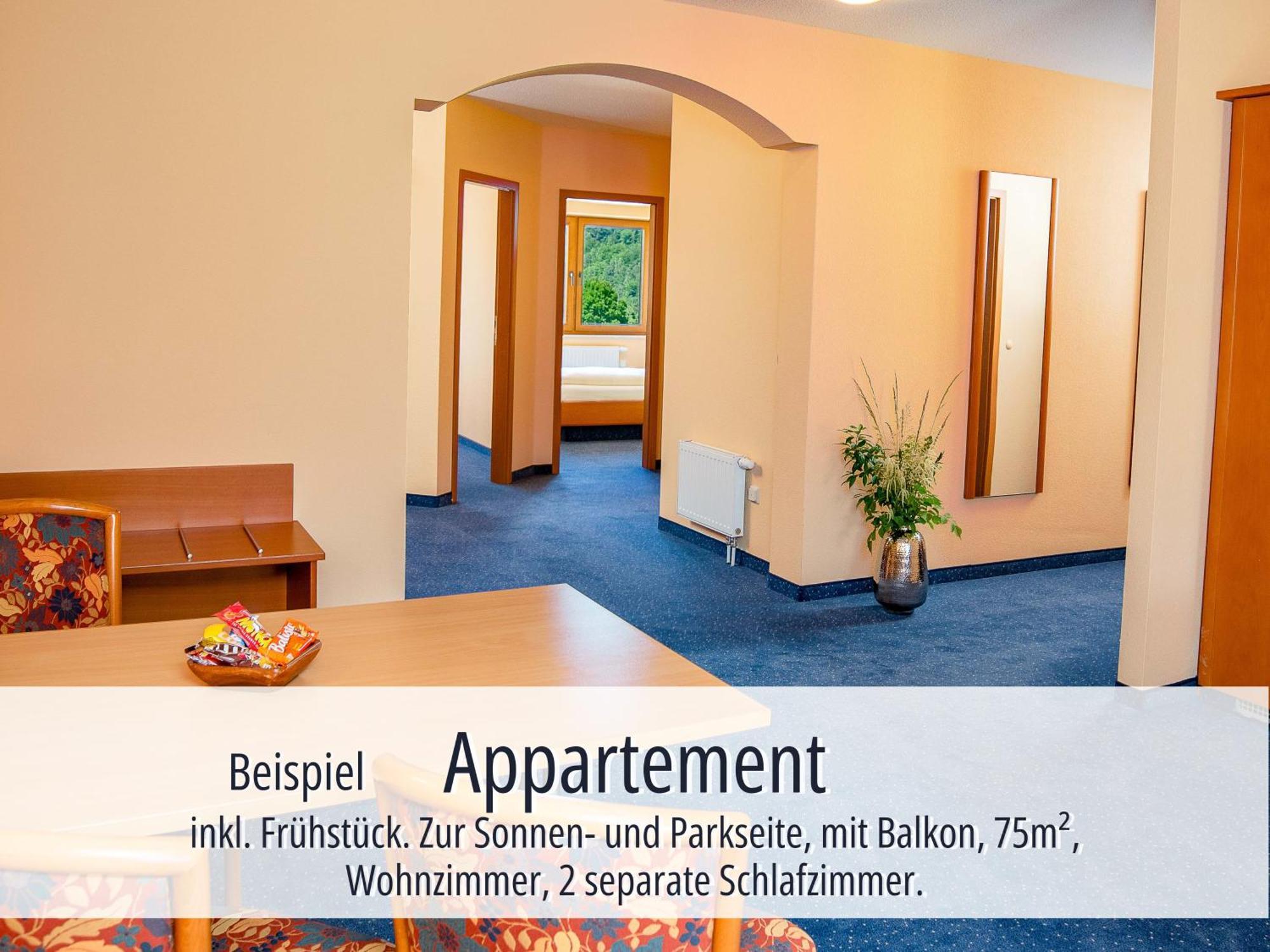 Hotel Am Kurhaus Mit Erstem Ayurveda Center Sachsens - Direkt Am Gesundheitsbad Actinon & Kurpark Bad Schlema Exteriér fotografie